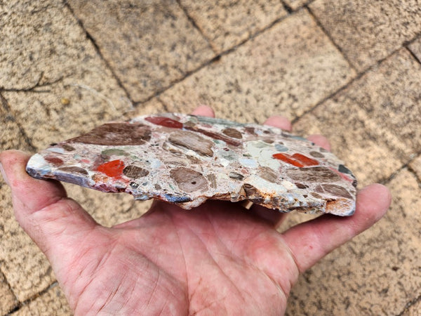Polished Marillana Conglomerate slab MC130