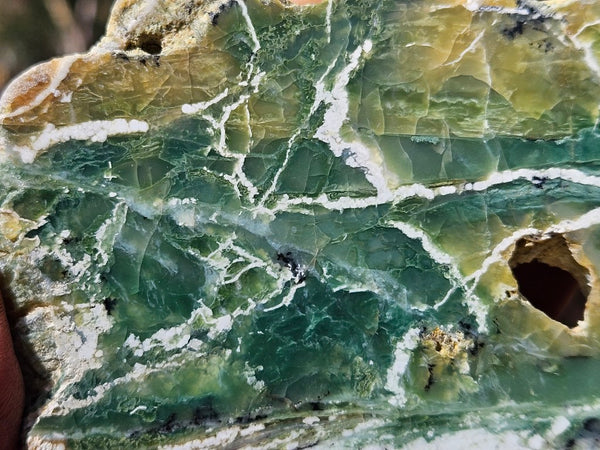 Polished Green Opal slab GRN118