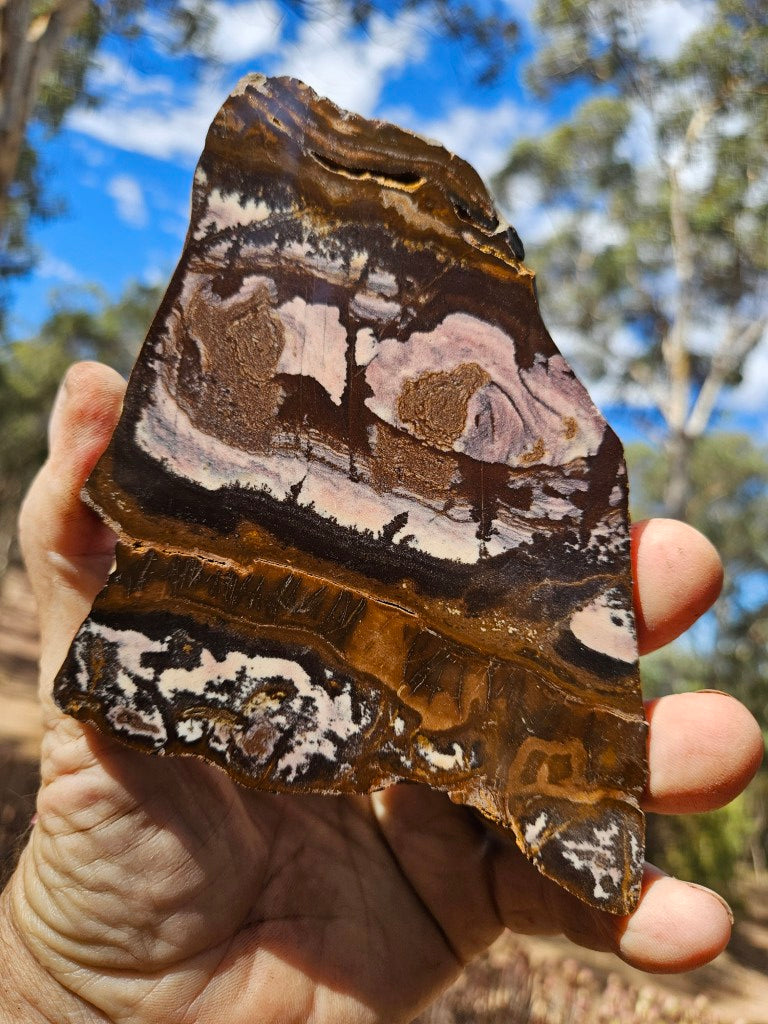 Polished Outback Jasper slab OJ208