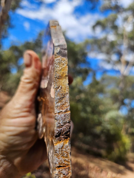 Polished Outback Jasper slab OJ208