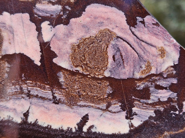 Polished Outback Jasper slab OJ208