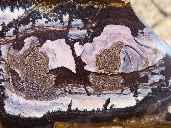 Polished Outback Jasper slab OJ208