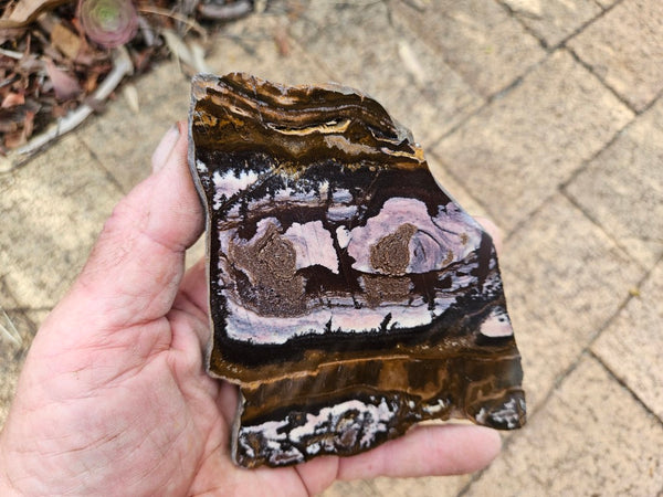 Polished Outback Jasper slab OJ208
