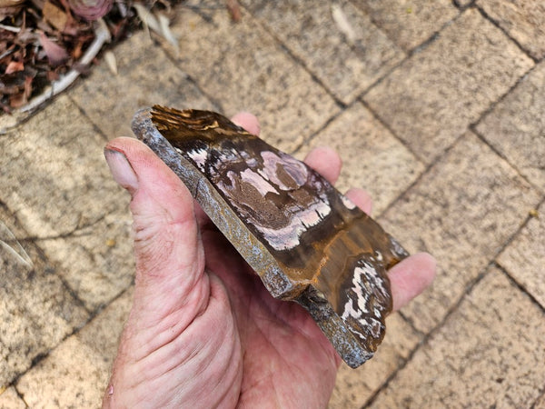 Polished Outback Jasper slab OJ208