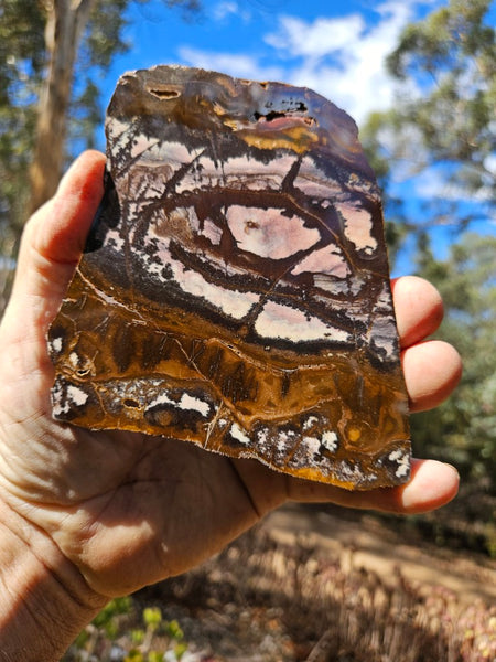 Polished Outback Jasper slab OJ209