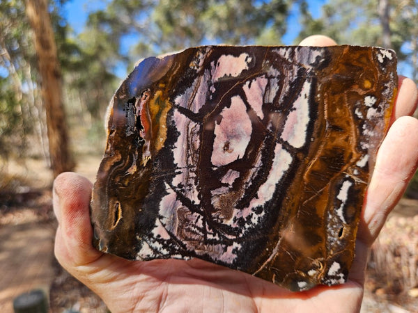 Polished Outback Jasper slab OJ209