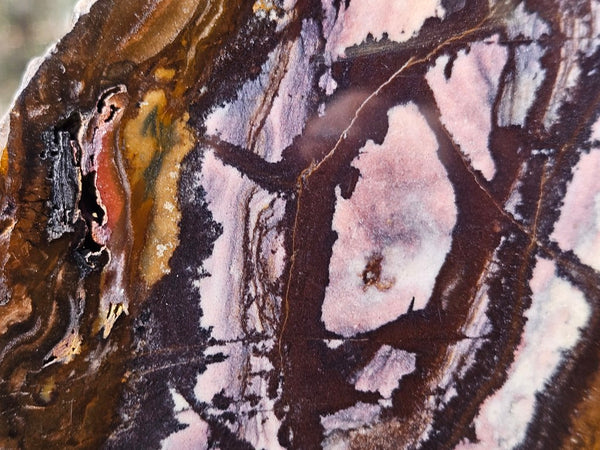 Polished Outback Jasper slab OJ209