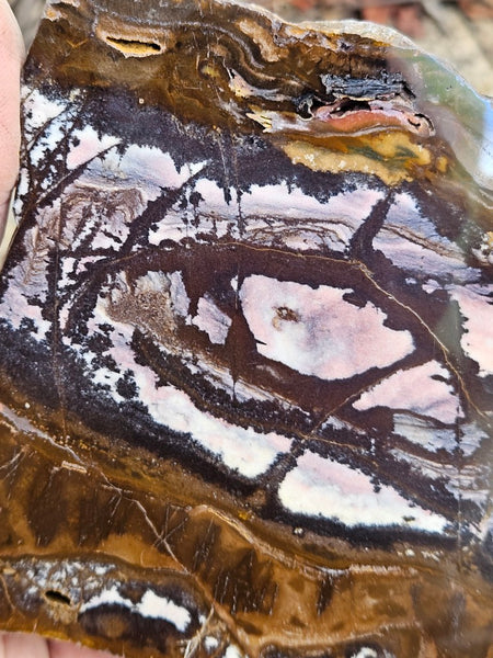 Polished Outback Jasper slab OJ209