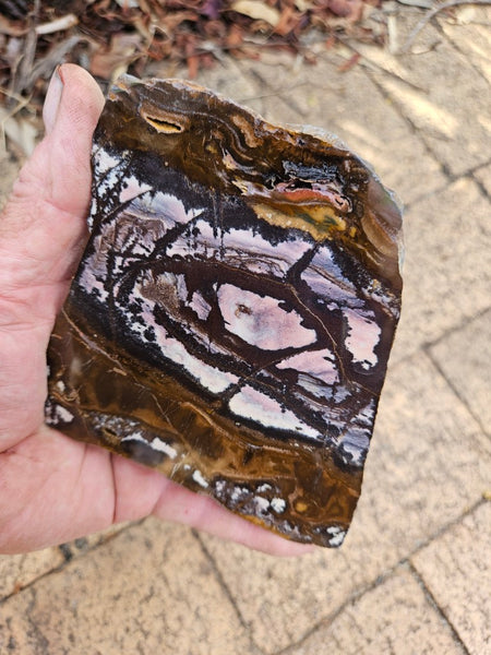 Polished Outback Jasper slab OJ209