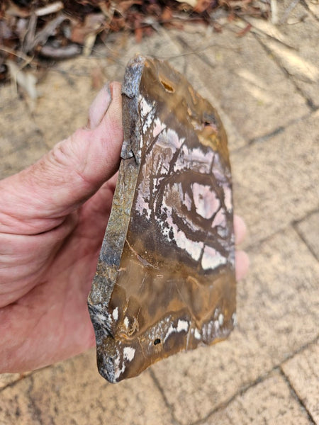 Polished Outback Jasper slab OJ209