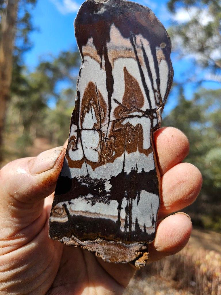 Polished Outback Jasper slab OJ210