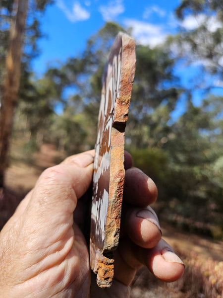 Polished Outback Jasper slab OJ210