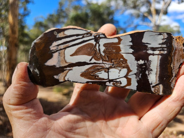 Polished Outback Jasper slab OJ210