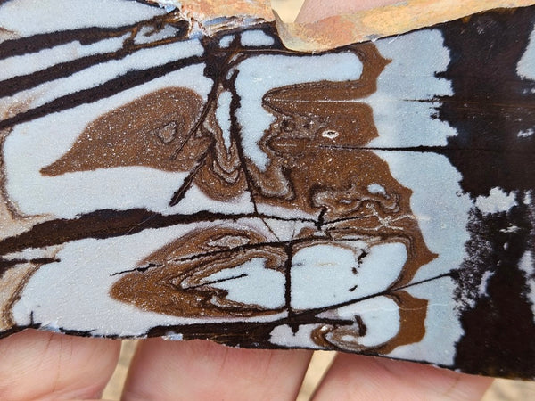 Polished Outback Jasper slab OJ210