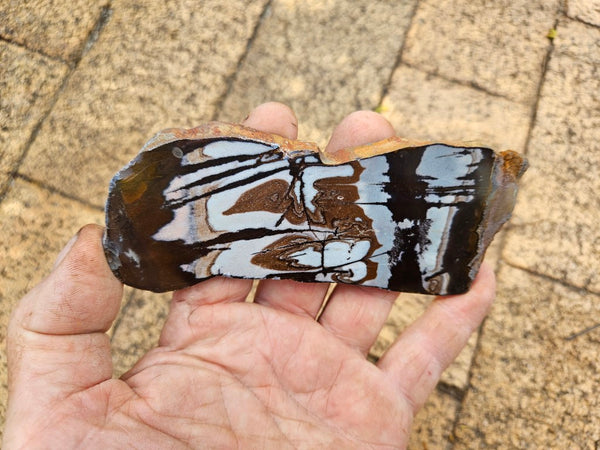 Polished Outback Jasper slab OJ210