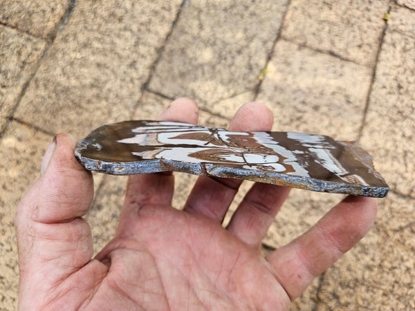 Polished Outback Jasper slab OJ210