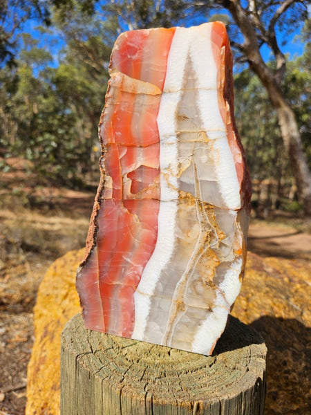 Polished Pilbara Agate PA288