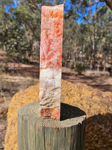 Polished Pilbara Agate PA288