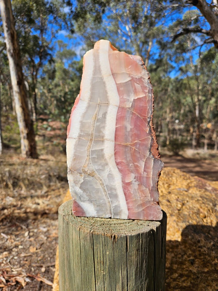 Polished Pilbara Agate PA288