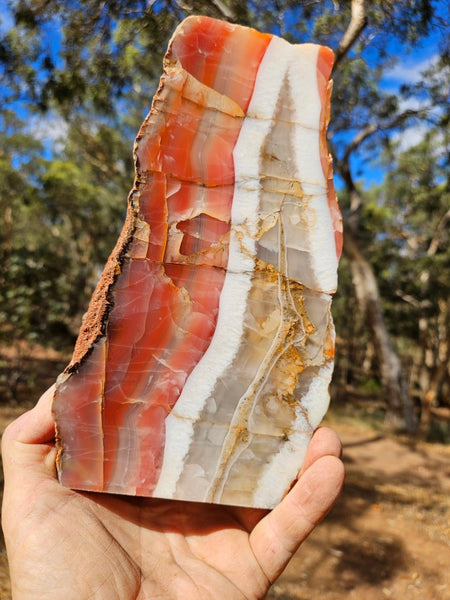 Polished Pilbara Agate PA288