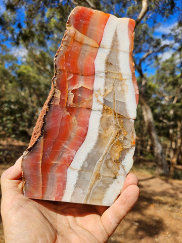 Polished Pilbara Agate PA288