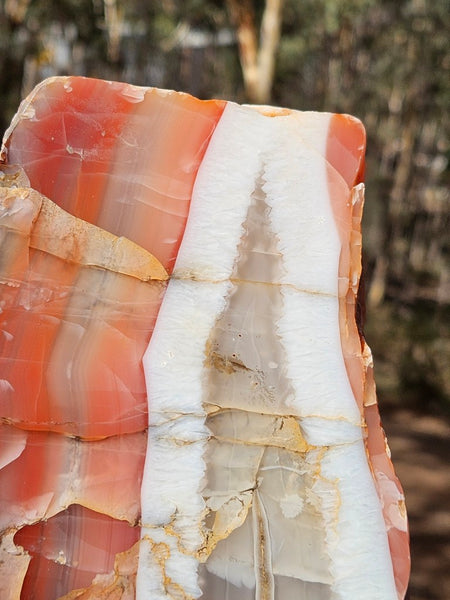 Polished Pilbara Agate PA288