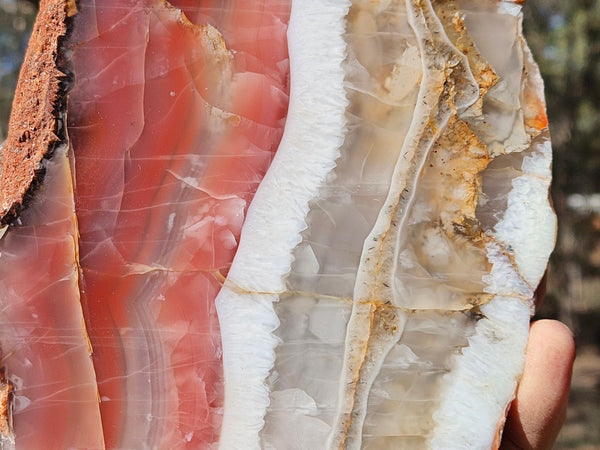 Polished Pilbara Agate PA288