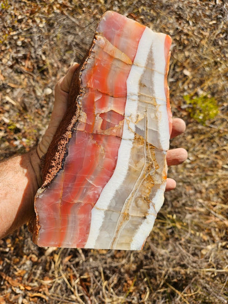 Polished Pilbara Agate PA288