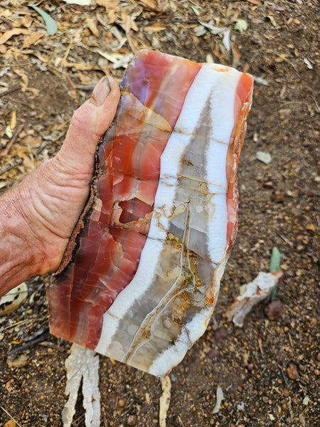 Polished Pilbara Agate PA288