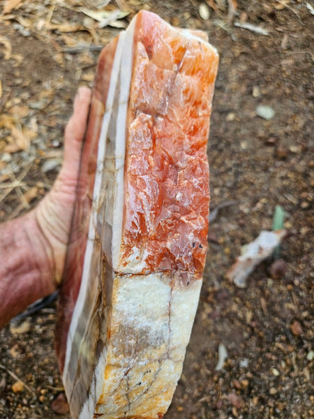 Polished Pilbara Agate PA288