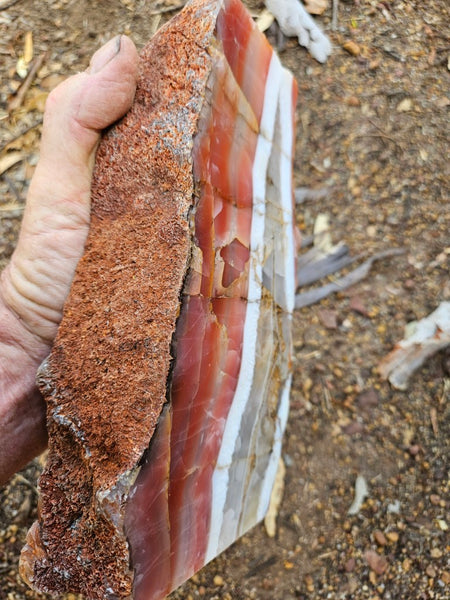 Polished Pilbara Agate PA288