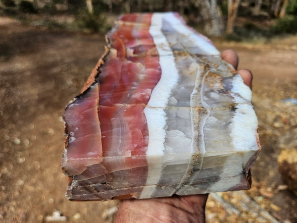 Polished Pilbara Agate PA288