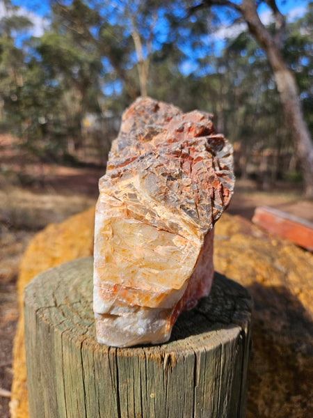 Polished Pilbara Agate PA287