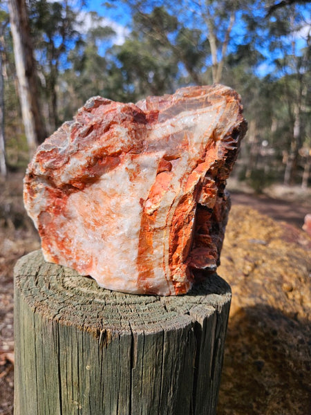 Polished Pilbara Agate PA287