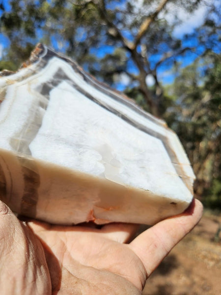 Polished Pilbara Agate PA287