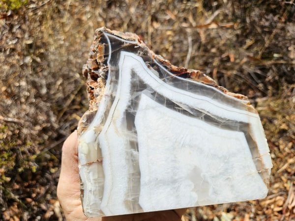 Polished Pilbara Agate PA287