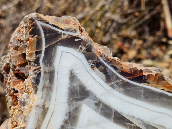 Polished Pilbara Agate PA287