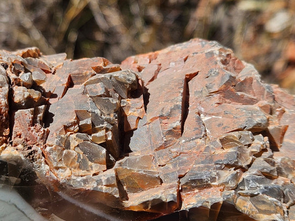 Polished Pilbara Agate PA287