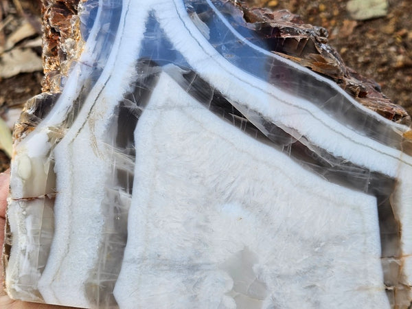 Polished Pilbara Agate PA287