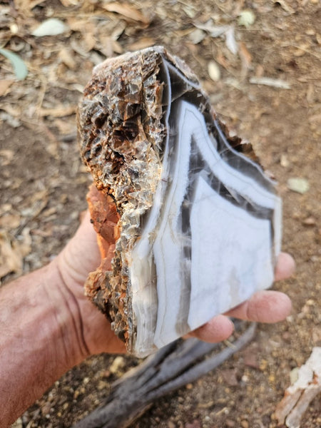Polished Pilbara Agate PA287