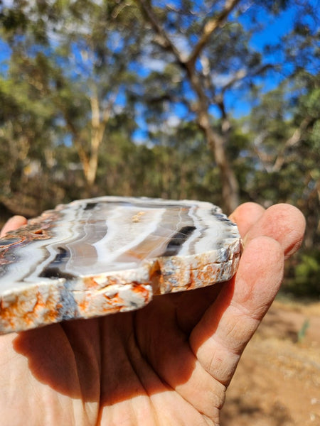 Polished Pilbara Agate slab PA289