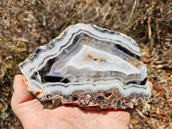 Polished Pilbara Agate slab PA289