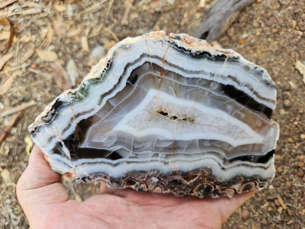 Polished Pilbara Agate slab PA289