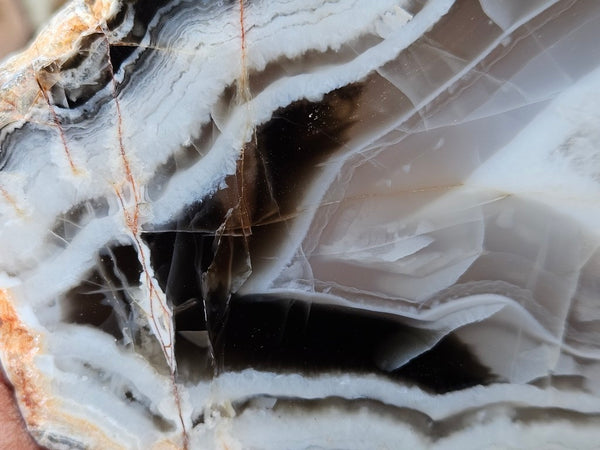 Polished Pilbara Agate slab PA289