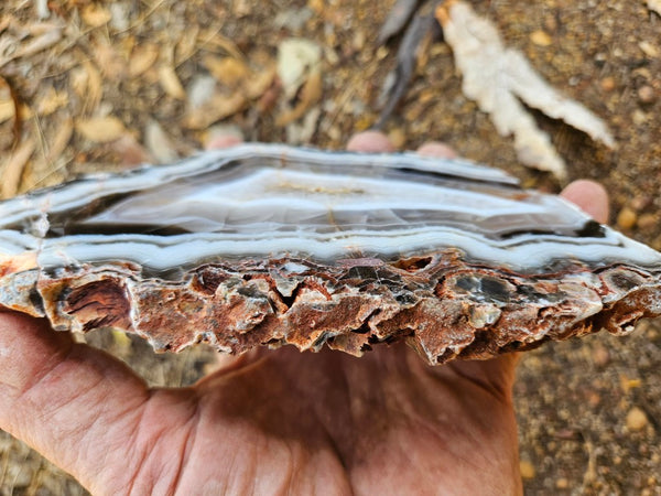 Polished Pilbara Agate slab PA289