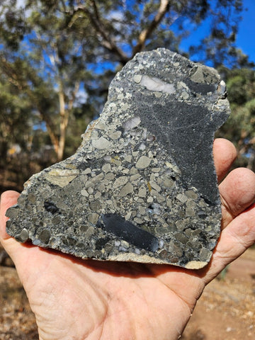 Polished Beaton's Creek auriferous conglomerate slab BC116