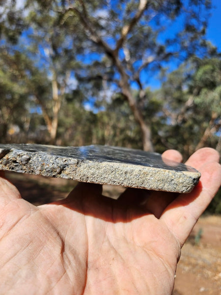 Polished Beaton's Creek auriferous conglomerate slab BC116