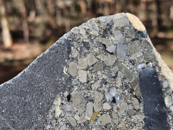 Polished Beaton's Creek auriferous conglomerate slab BC116