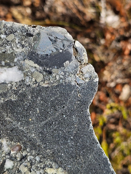 Polished Beaton's Creek auriferous conglomerate slab BC116