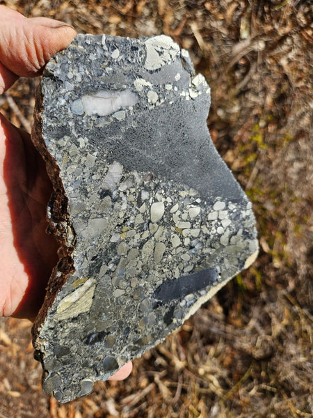 Polished Beaton's Creek auriferous conglomerate slab BC116